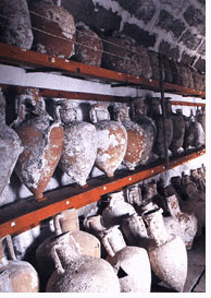 Amphora Exhibition