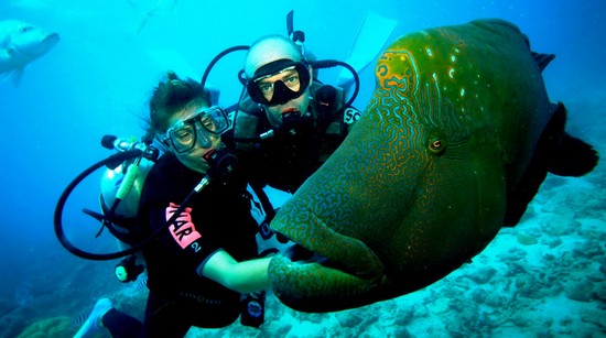 Scuba Diving Bodrum