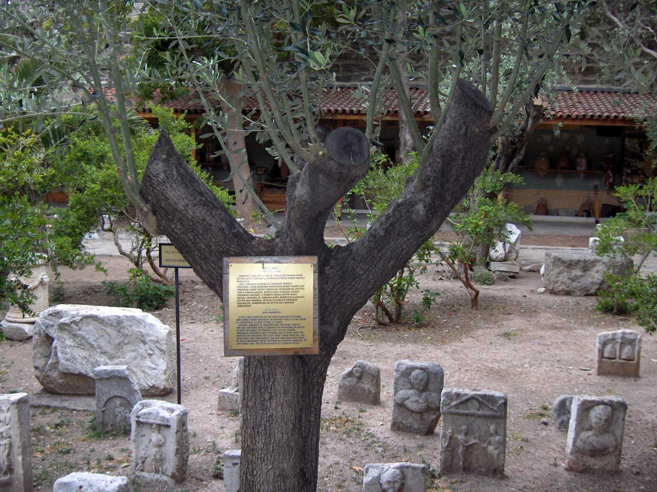 Bodrum Castle Botanical Garden